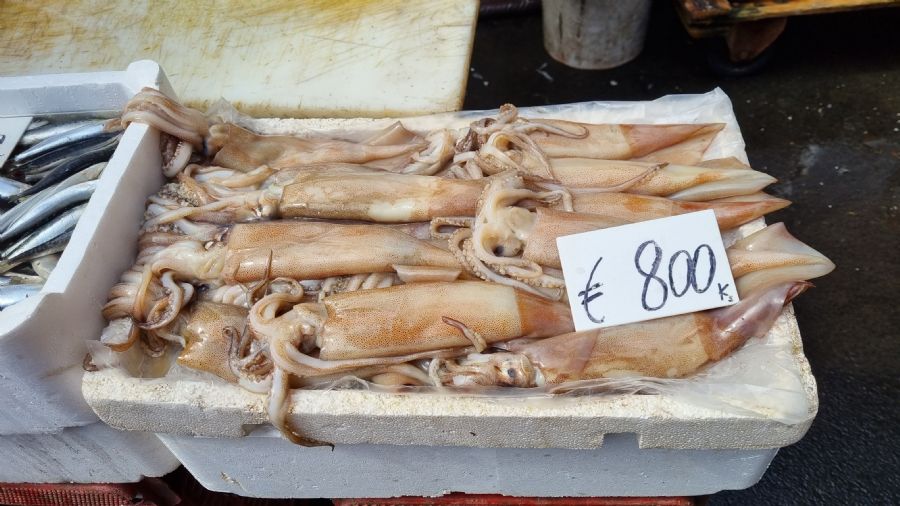 שוק הדגים בקטאניה